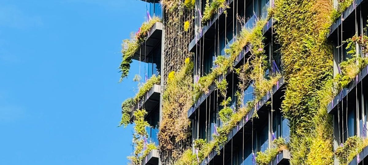 The Green Building Revolution by Teryn Quorve and Elyndor Flayrath